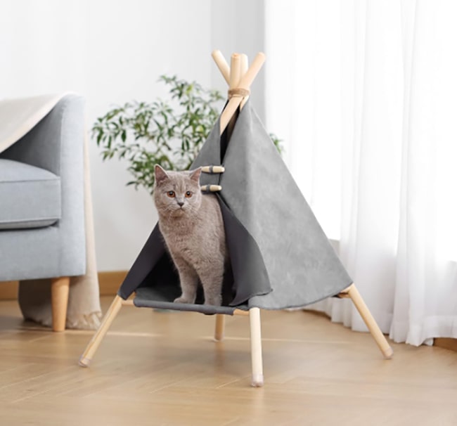 أفضل عروض التسوق عبر الإنترنت في الإمارات | Noon-ae.net نون نت 36 hotspot carusel cat tent opt opt