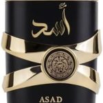 لطافة او دي بارفان للرجال من اسد، 100 مل