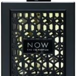 او دي بارفان ناو للرجال من ريف - 100 مل