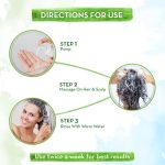 ⁦Mamaearth Onion Shampoo for Hair Growth & Hair Fall Control with Onion Oil & Plant Keratin 4ml⁩ - الصورة ⁦6⁩