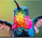 JVC تلفزيون سمارت UHD 4K (اسود، 70 بوصة، LT70N7105)