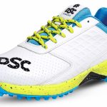 DSC Jaffa 22 Cricket Shoes for Men and Boys