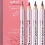 مجموعة اقلام تحديد شفاه صغيرة من نيكيتا فيفي، 4 قطع من اقلام تحديد الشفاه بـ4 الوان، اقلام تحديد شفاه ناعمة ومقاومة للماء وتدوم طويلا، قلم تحديد شفاه بالوان كاملة وان ستروك ديفاين