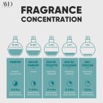 ⁦عطر كلير دي لون من فينتاج باي ايه ام دي بيرفيومز للنساء - عطر كلاسيكي للرجال والنساء - او دي بارفان يدوم طويلا 100 مل⁩ - الصورة ⁦9⁩