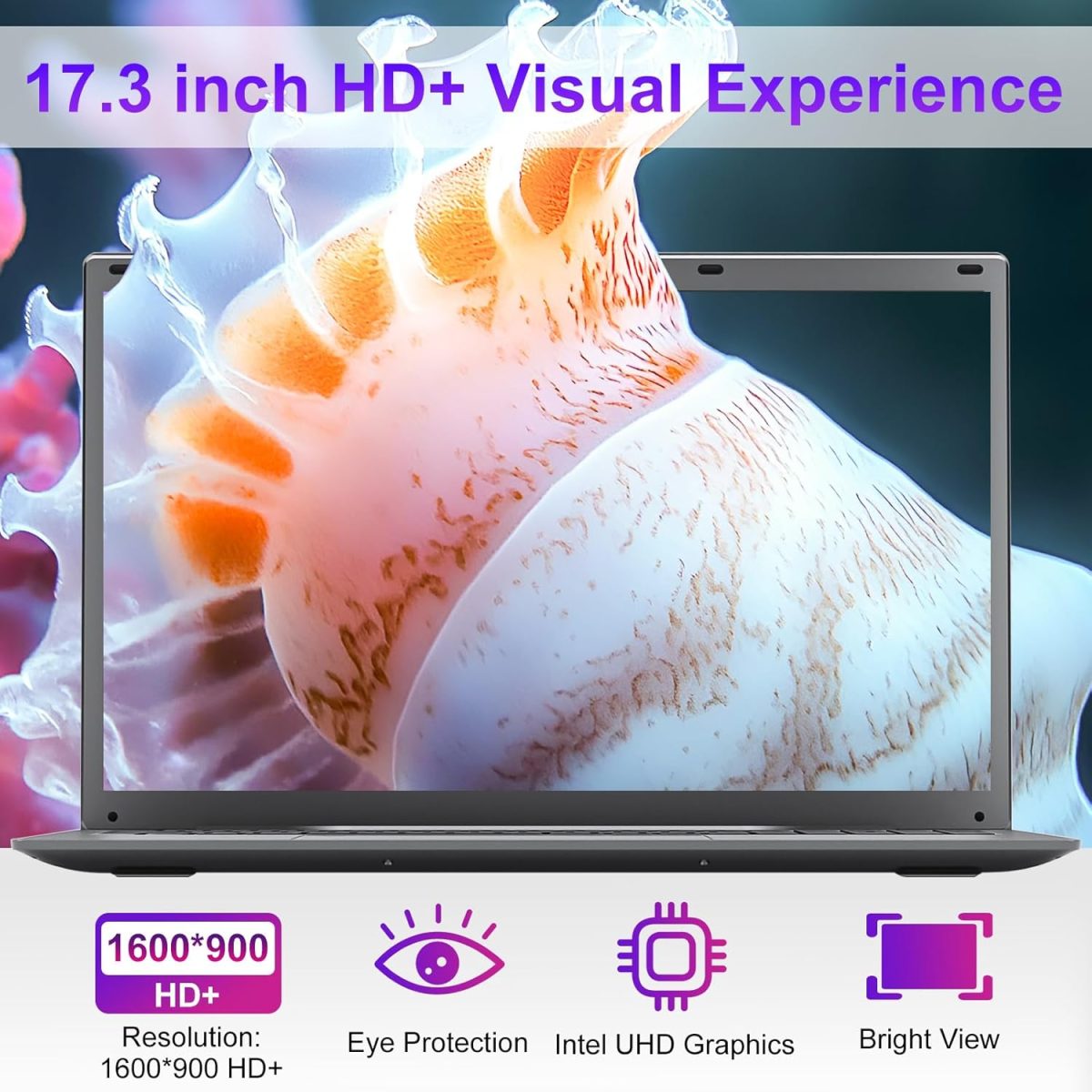 ⁦لابتوب 2025 17 17.3 انش HD+ للطلاب والاعمال، 16GB DDR5 RAM، 1TB SSD، انتل رباعي النواة N100 (يتفوق على i3-1115G4، حتى 3.4GHz)، كيبورد باضاءة خلفية، بصمة اصبع، نوع C، مايكروسوفت اوفيس، ويندوز 11 برو⁩ - الصورة ⁦2⁩