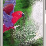 هاتف سوني إكسبيريا XZ1 G8341 الذكي 5.2 بوصة (5.2 بوصة) شاشة مضيئة (كاميرا 19 ميجابيكسل، ذاكرة 64 جيجابايت، أندرويد) - فضي - إصدار عالمي