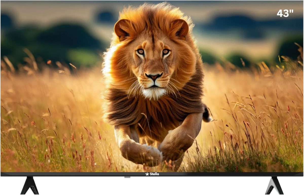 تلفزيون ستيلا 43 بوصة بدون حواف FHD اندرويد 14 الذكي مع نتفليكس ويوتيوب وبرايم فيديو -SLED43EAJ