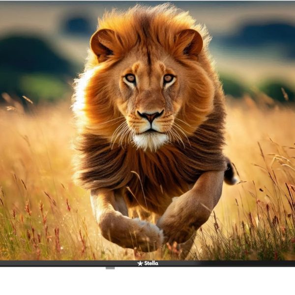 تلفزيون ستيلا 43 بوصة بدون حواف FHD اندرويد 14 الذكي مع نتفليكس ويوتيوب وبرايم فيديو -SLED43EAJ