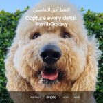 ⁦جوال سامسونج جالكسي +S23، 256 جيجا، لون كريمي، إصدار الإمارات، موبايل 5G، يدعم شريحتين اتصال، نظام أندرويد، ضمان لمدة سنة من الشركة المصنعة⁩ - الصورة ⁦11⁩
