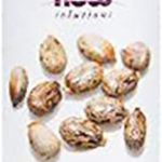 ناو سوليوشينز زيت الخروع، 100٪ نقي، 16 اونص