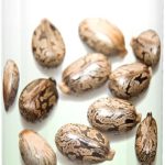 ناو زيت الخروع العضوي من سوليوشنز، منتج نقي 100% متعدد الاستخدامات للعناية بالبشرة، منعم بشرة متعدد الاستخدامات، 8 اونصة