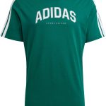 adidas Men Codes Collegiate Linear Graphic Tee