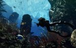 ⁦ACTIVISION Call Of Duty Ghosts Game PS4⁩ - الصورة ⁦2⁩