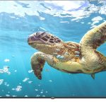 تلفزيون LED ذكي 75 بوصة بدقة 4K UHD مع نظام تشغيل ويب او اس وجهازي تحكم عن بعد سحري وشاشة سينما 4K UHD HDR وصوت دولبي وتحكم صوتي ذكي وتطبيقات يوتيوب ونتفليكس وشاهد من جنرال تيك