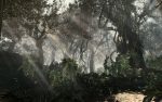 ⁦ACTIVISION Call Of Duty Ghosts Game PS4⁩ - الصورة ⁦5⁩