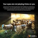 ⁦سامسونج تلفزيون ذكي نيو QLED 8K، 65 بوصة، اسود تيتان، تقنية كوانتوم ماتريكس برو، دقة 8K، او تي اس بلس، QA65QN800C - 2023 - اصدار عالمي⁩ - الصورة ⁦7⁩