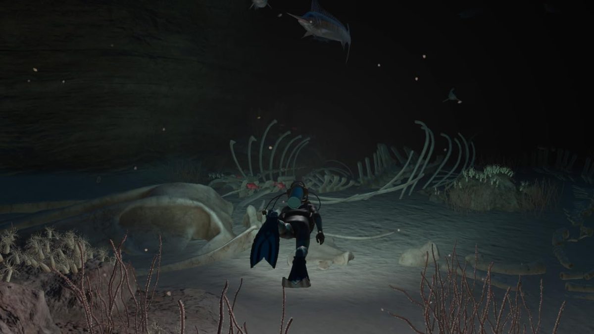 ⁦Endless Ocean Luminous [Nintendo Switch] UAE Version⁩ - الصورة ⁦6⁩