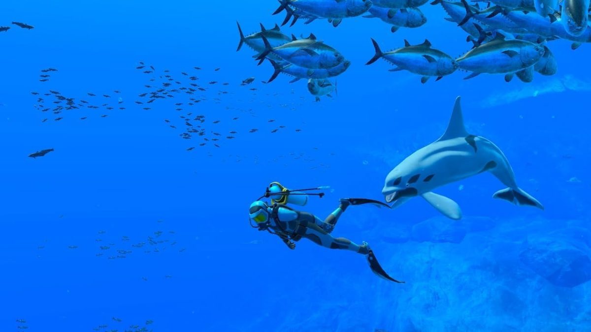 ⁦Endless Ocean Luminous [Nintendo Switch] UAE Version⁩ - الصورة ⁦2⁩