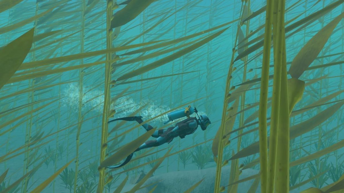 ⁦Endless Ocean Luminous [Nintendo Switch] UAE Version⁩ - الصورة ⁦3⁩