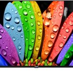 نيكاي تلفزيون جوجل الذكي 100 بوصة 4K UHD مع تحكم صوتي بدون استخدام اليدين، جيم ماستر، دولبي فيجن + اتموس، 4K HDR10+، اتصال سهل مع اجهزة اندرويد وابل - 100NIKGOOGLE (موديل 2025)