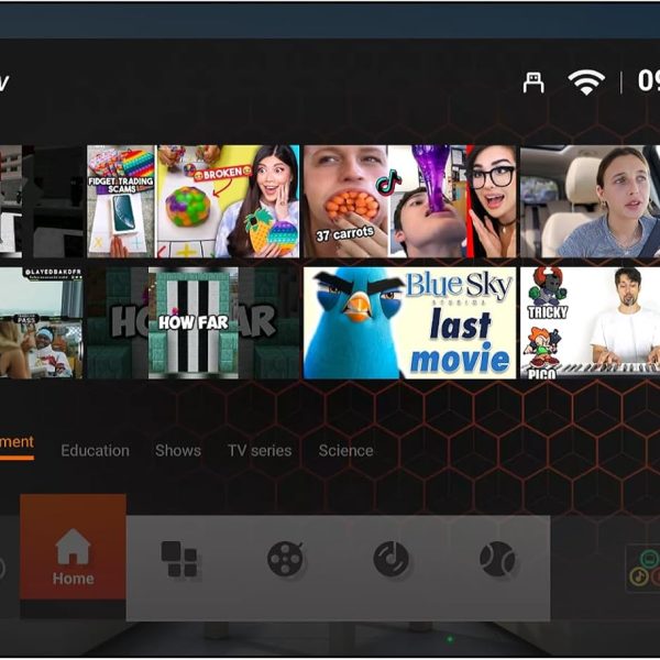 إليكسونج تلفزيون اندرويد ذكي مقاوم للماء 55 بوصة 2000 وحدة مضيئة في البكسل 4K، دولبي اتموس، HDR 10 مقاوم للطقس يدعم بلوتوث وواي فاي (اسود، شاشة 55 انش)