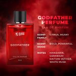 ⁦بيردو عطر جود فاذر للرجال، 100 مل | عطر عطري حار يدوم طويلا | بخاخ للجسم للتاريخ الليلي، هدية مثالية⁩ - الصورة ⁦3⁩