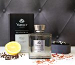 ⁦عطر جنتلمان كلاسيك فاخر او دي بارفان من ياردلي برائحة الحمضيات والفلفل الاسود ومزيج حار من الهال، 100 مل⁩ - الصورة ⁦3⁩