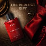 ⁦بيردو عطر جود فاذر للرجال، 100 مل | عطر عطري حار يدوم طويلا | بخاخ للجسم للتاريخ الليلي، هدية مثالية⁩ - الصورة ⁦7⁩