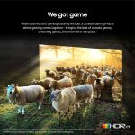 ⁦سامسونج تلفزيون ذكي نيو QLED 8K، 75 بوصة، اسود، معالج كوانتوم عصبي 8K، شاشة انفينيتي، او تي اس برو، QA75QN900C - 2023 - اصدار عالمي⁩ - الصورة ⁦3⁩