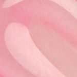 ⁦تو فيسد ملمع شفاه ليب انجيكشن لتكثيف الشفاه بفيتامين E + زيت الافوكادو، 0.14 اونصة سائلة⁩ - الصورة ⁦7⁩