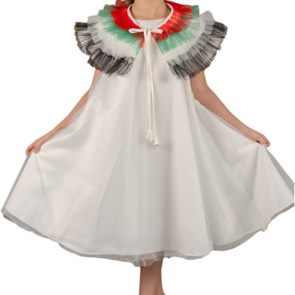 فستان بتصميم علم الامارات العربية المتحدة والعيد للبنات، فستان تول مع ريش ملون