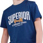 Nuego Cotton T-shirts for Boys Half Sleeves, Round Neck Tees for Boy, Comfortable Breathable Casual Regular Fit Graphic Text Print Kids Tshirt 7-14 Year (Blue, White)