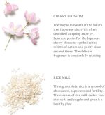 ⁦ريتشوالز كريم الجسم ذا ريتوال اوف ساكورا، 220 مل (عبوة من قطعة واحدة)⁩ - الصورة ⁦6⁩