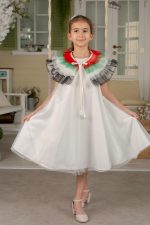 ⁦فستان بتصميم علم الامارات العربية المتحدة والعيد للبنات، فستان تول مع ريش ملون⁩ - الصورة ⁦2⁩