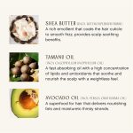 ⁦اينيرسينس حمام شعر مرطب عضوي (10 اونصة) - شعر كثيف وخشن وعطش - خالي من السيليكون والبارابين والكبريتات والجلوتين ولم يختبر على الحيوانات - العناية بالشعر - شامبو⁩ - الصورة ⁦5⁩