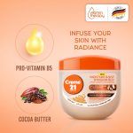 ⁦كريم 21 زبدة كوكو جيلي بتروليوم 300 مل - عبوة من قطعة واحدة | جودة القهوة | تزيل الجفاف | تنعم الشفاه | تغذي الوجه واليدين والجسم | جيلي بترولي ناعم⁩ - الصورة ⁦4⁩