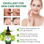 ⁦زيت النيم للبشرة، ضغط طبيعي نقي على البارد، خال من الهكسان يغذي البشرة والشعر ويقلل من الخطوط الدقيقة، 2.0 اونصة⁩ - الصورة ⁦3⁩