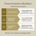 ⁦اي ام فروم خلاصة موجوورت للبشرة المعرضة لحب الشباب⁩ - الصورة ⁦8⁩