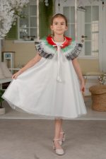 ⁦فستان بتصميم علم الامارات العربية المتحدة والعيد للبنات، فستان تول مع ريش ملون⁩ - الصورة ⁦7⁩