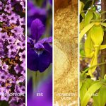 ⁦او دي بارفان كاريس للنساء من سابيل، 80 مل⁩ - الصورة ⁦4⁩