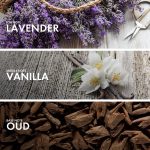 ⁦وودي فانيلا⁩ - الصورة ⁦2⁩