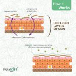 ⁦باراسوفت كريم مرطب مكثف للبشرة الجافة والجافة، كريم مغذي للبشرة الباردة والشتوية مع فوائد الوفيرا للرجال والنساء، غير دهني وخالي من البارابين - 100 غرام⁩ - الصورة ⁦4⁩