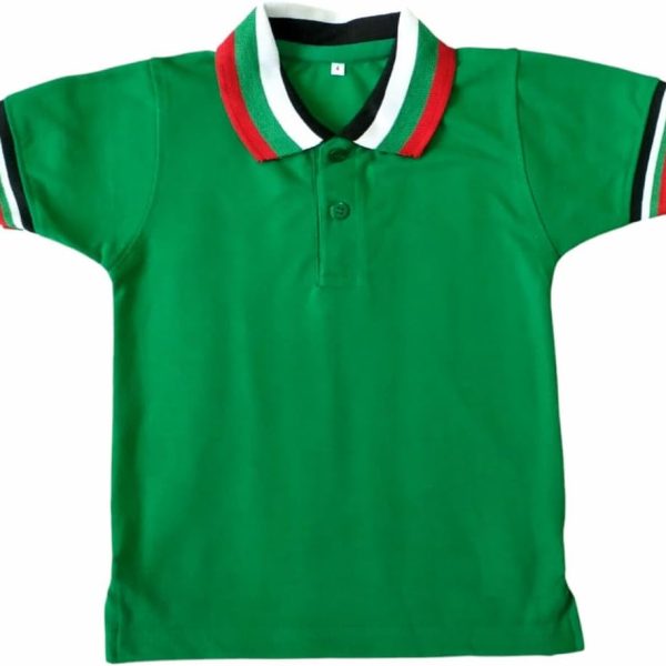 تي شيرت لليوم الوطني لدولة الامارات العربية المتحدة من فام للاطفال بعمر 8,9 سنوات - زي اليوم الوطني - تي شيرت علم الامارات العربية المتحدة - فستان يوم علم الامارات - موضوع العلم (اخضر)