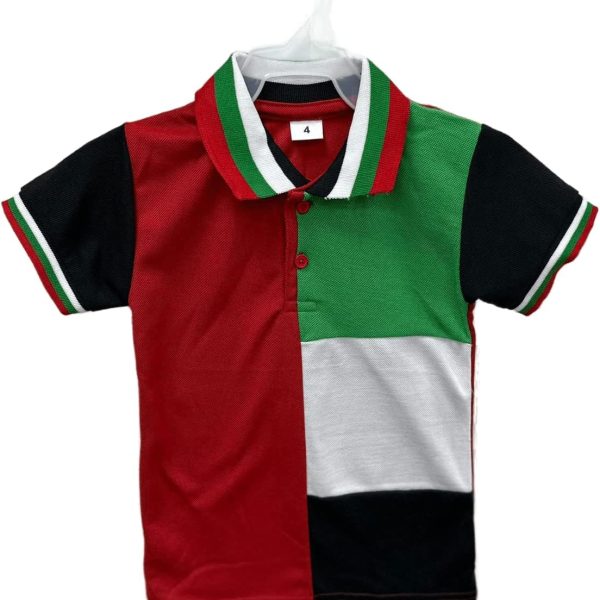 تي شيرت لليوم الوطني لدولة الامارات العربية المتحدة للاطفال من الجنسين، فستان لليوم الوطني، تي شيرت علم الامارات العربية المتحدة