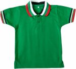 تي شيرت لليوم الوطني لدولة الامارات العربية المتحدة من فام للاطفال بعمر 14 و15 سنة - زي اليوم الوطني - تي شيرت علم الامارات العربية المتحدة - فستان يوم علم الامارات - موضوع العلم (اخضر)