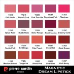 ⁦بيير كاردان احمر شفاه ماجنيتيك دريم من باريس، 4 غرام، 254⁩ - الصورة ⁦7⁩