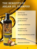 ⁦مجموعة شامبو وبلسم بزيت الارجان المغربي خالية من الكبريتات، مثالية للشعر التالف والجاف والمجعد - تركيبة كثيفة للشعر الناعم/الرقيق، امن على الشعر المصبوغ والمعالج بالكيراتين (مجموعة 2 في 1)⁩ - الصورة ⁦4⁩