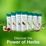 ⁦هيملايا شامبو ل جميع انواع الشعر - 200 مل⁩ - الصورة ⁦5⁩