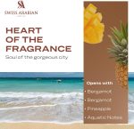 ⁦سويس اريبيان عطر اكستريت دي بارفان من سول اوف بالي، 100 مل، عطر عالي الجودة، عطر للجنسين، عطر منعش ومائي وخشبي، مزيج فاخر للنساء والرجال⁩ - الصورة ⁦4⁩