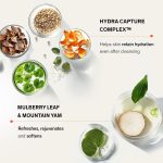 ⁦سولواسو منظف رغوي اي اكس لطيف للنساء 6.7 اونصة، 6.76 اونصة سائلة/ 200 مل⁩ - الصورة ⁦4⁩